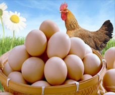 Chicken Dedicated Products