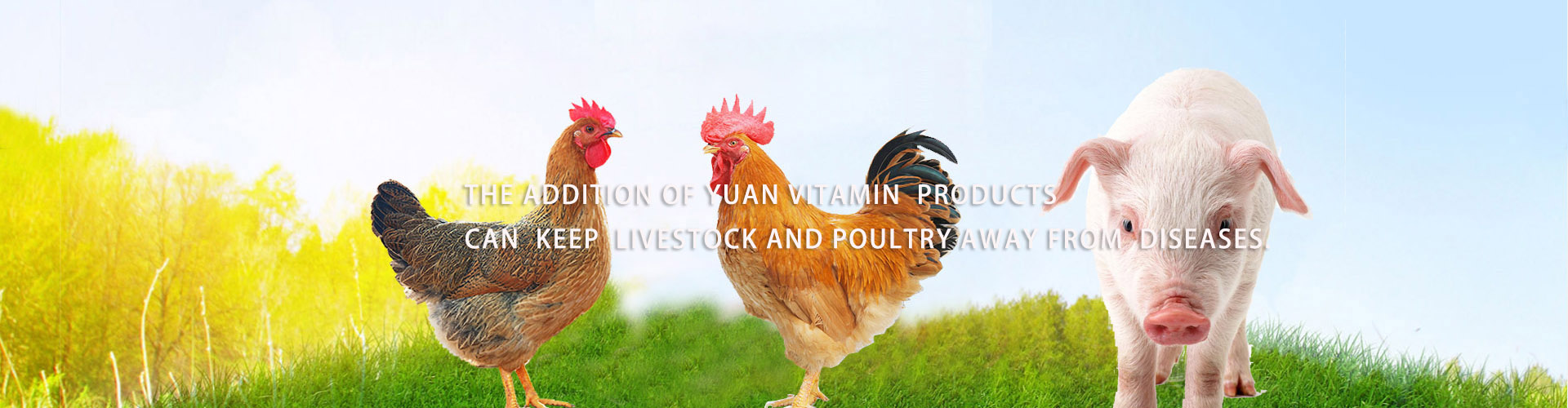 Puyang zhongnongfuxing biotechnology co., LTD_wap