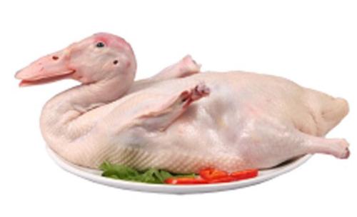 欧盟对我过开放6600吨鸭肉新配额