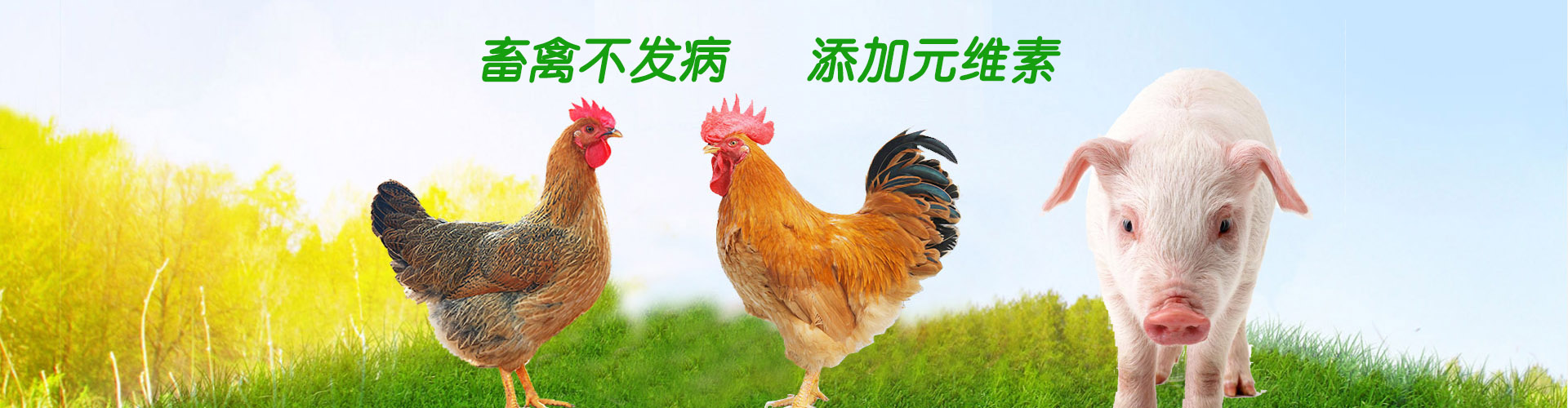 濮阳市中农复星生物科技有限公司-手机站